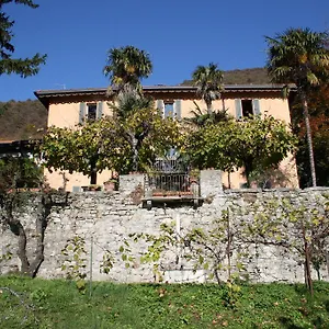 Antico Glicine Maslianico
